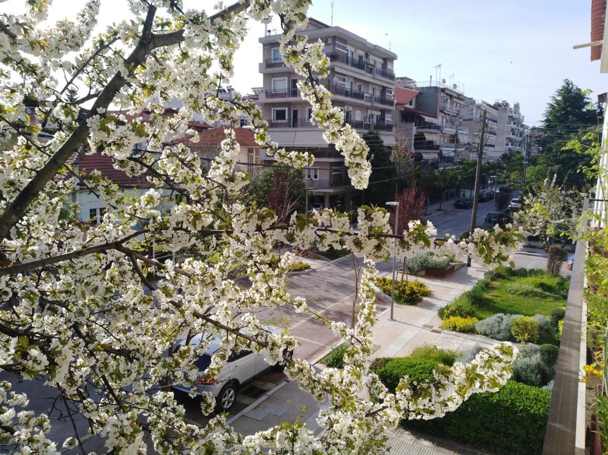 Olympia Hotel Édessa Ngoại thất bức ảnh