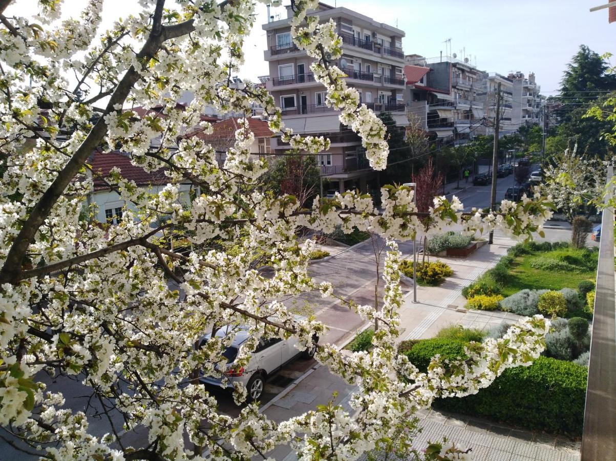 Olympia Hotel Édessa Ngoại thất bức ảnh